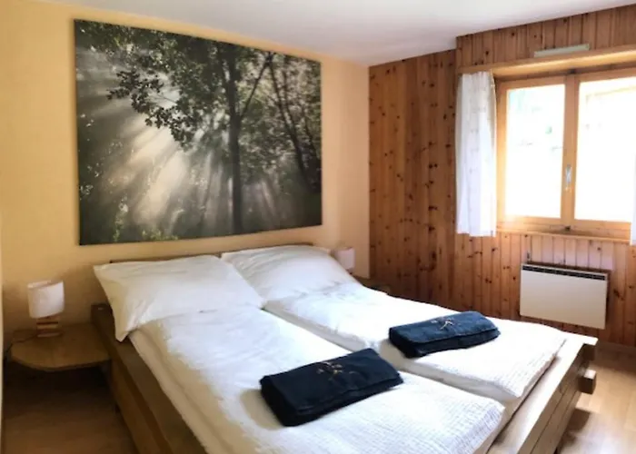 Prachalier Ii - Next To Cable Car - Swiss Alps * Nendaz